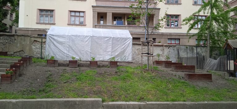 Školská záhrada