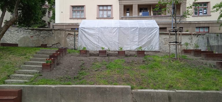 Školská záhrada