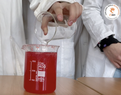 Extrakcia DNA z jahody? Pre našich siedmakov žiadny problém