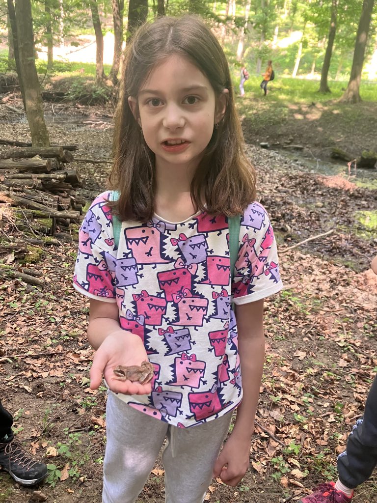 Škola v prírode