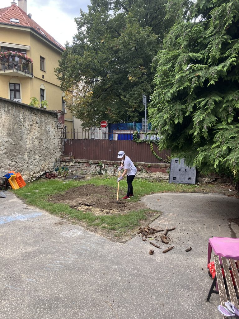 Naše mesto