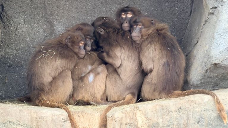 S turistickým krúžkom Brnom popri rieke Svratke do ZOO