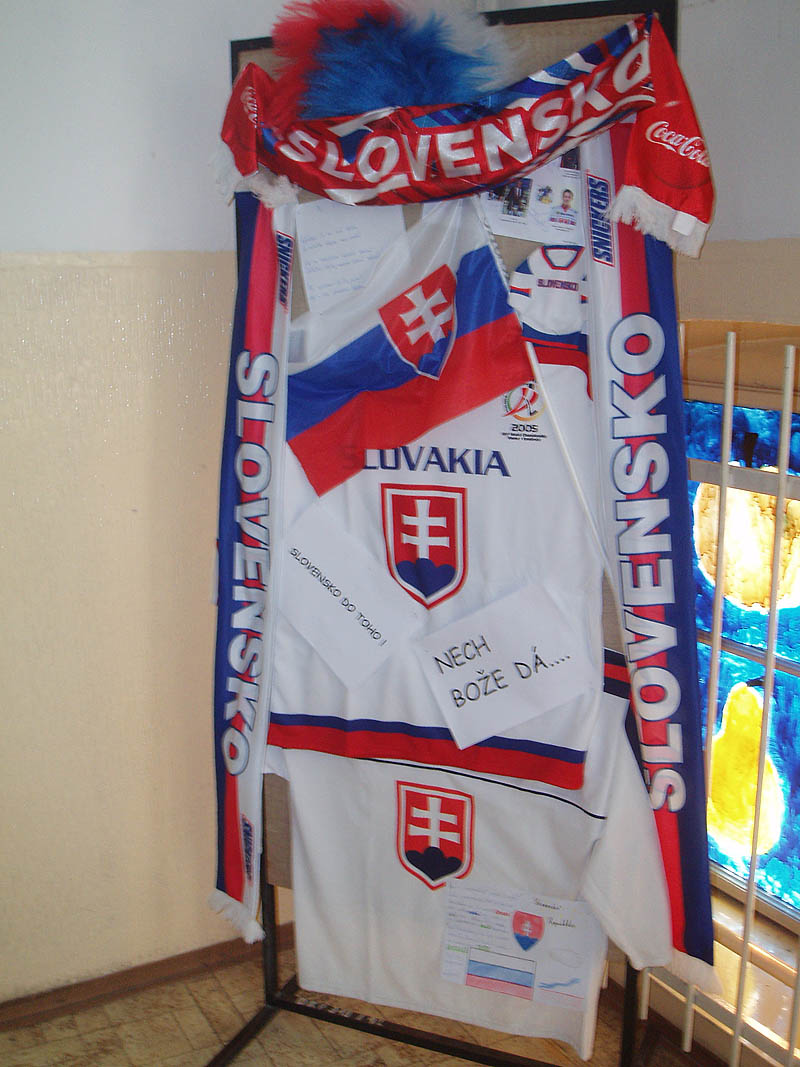 Vyzdobte si školu a poďte na hokej!