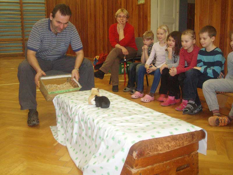 Environmentálna výchova v školskom klube